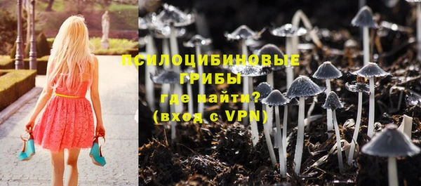 мескалин Алексин