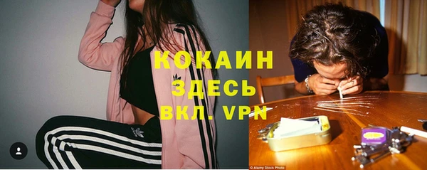 мескалин Алексин